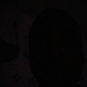 Meet your Posher, Bryan